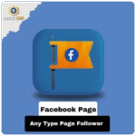 Facebook - Any Type Page Follower
